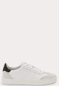 Cody Sneakers