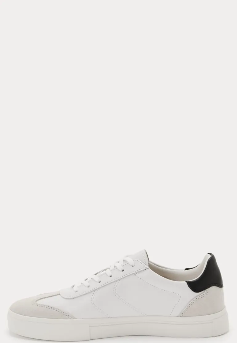 Cody Sneakers