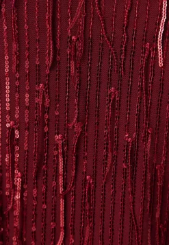 Yaslantra Ls Sequin Fringe Dress