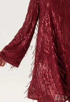 Yaslantra Ls Sequin Fringe Dress